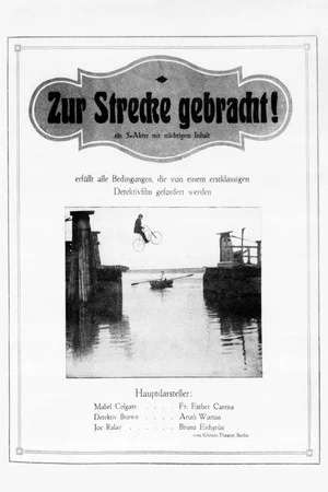 Постер: Zur Strecke gebracht