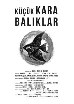 Постер: Little Black Fishes