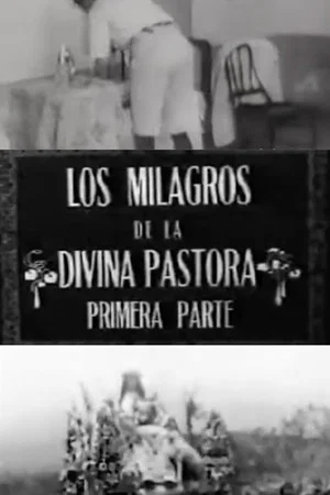 Постер: Los milagros de la Divina Pastora