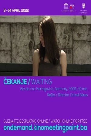 Постер: Waiting
