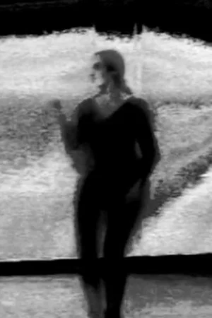 Постер: Dancer 2