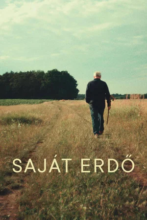 Постер: Saját erdő