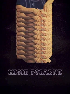 Постер: Misie polarne