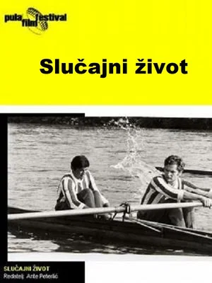 Постер: Accidental Life