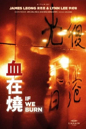 Постер: If We Burn