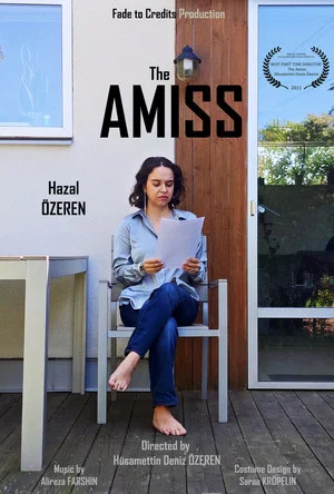 Постер: The Amiss