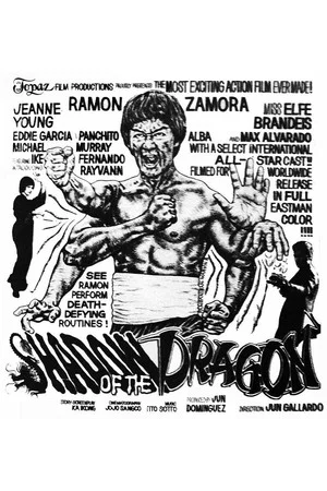 Постер: Shadow of the Dragon