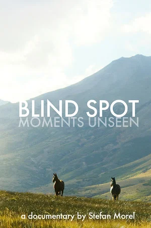 Постер: BLIND SPOT: Moments Unseen