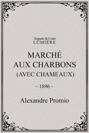 Постер: Marché aux charbons (avec chameaux)