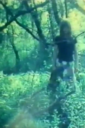 Постер: Dagbogsfilm I-V