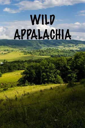 Постер: Wild Appalachia