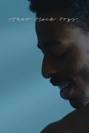 Постер: Other Black Boys