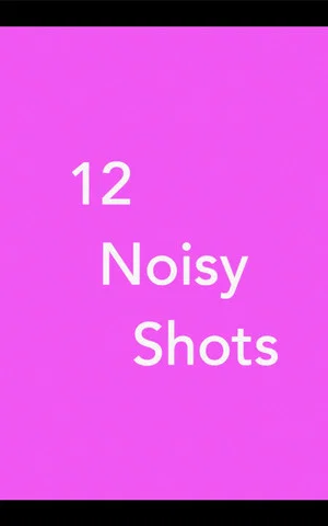 Постер: 12 Noisy Shots