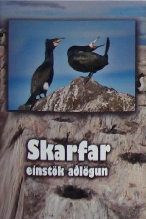 Постер: Skarfar