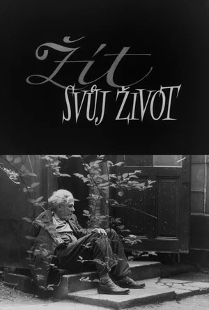 Постер: Living Your Life