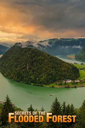 Постер: Secrets of the Flooded Forest - Danube National Park