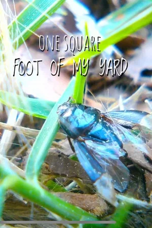 Постер: 1 Square Foot of My Yard