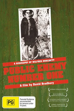 Постер: Public Enemy Number One
