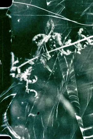 Постер: To Live and Die in the Shadows: Ferns, Survival and Horizontal Gene Transfer