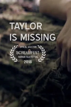 Постер: Taylor Is Missing