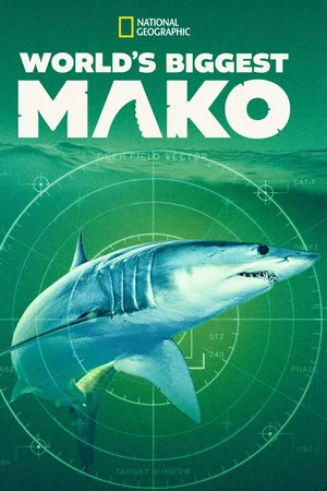 Постер: World's Biggest Mako