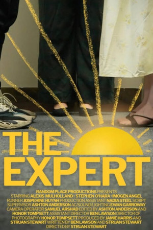 Постер: The Expert