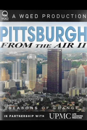 Постер: Pittsburgh From the Air II