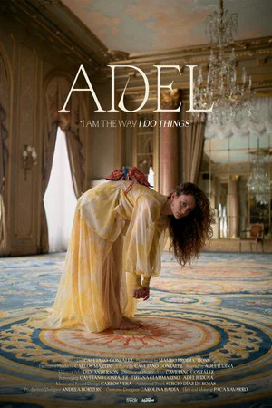 Постер: Adel