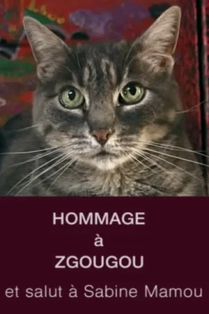 Постер: Tribute to Zgougou the Cat