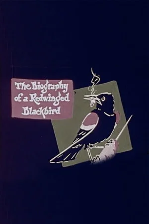 Постер: The Biography of a Redwinged Blackbird