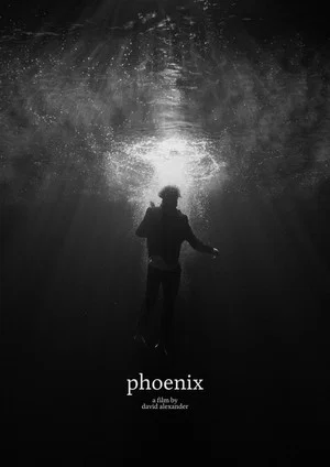 Постер: Phoenix