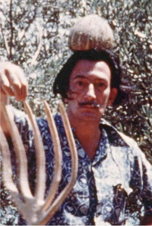 Постер: Salvador Dalí Home Movie