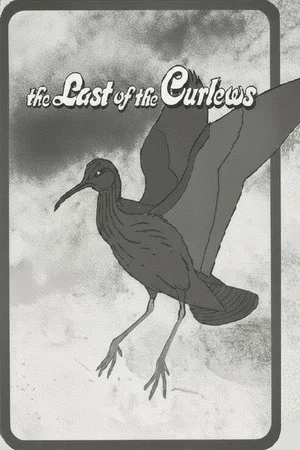 Постер: The Last of the Curlews