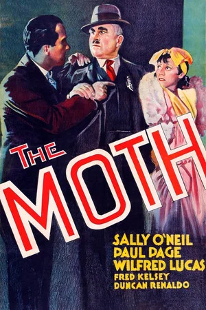 Постер: The Moth