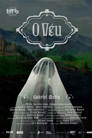 Постер: The Veil