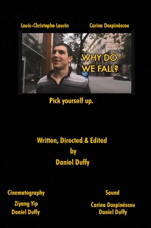 Постер: Why Do We Fall?