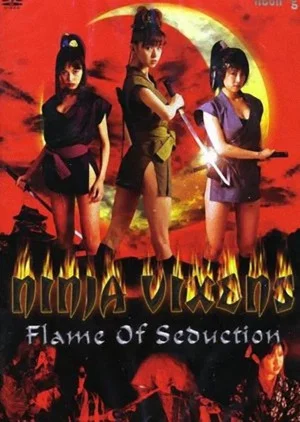 Постер: Ninja Vixens: Flame of Seduction