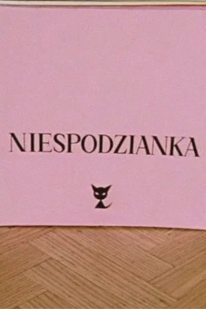 Постер: The Surprise