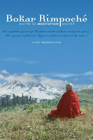 Постер: Bokar Rimpoche: Meditation Master