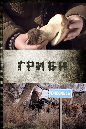 Постер: Mushrooms