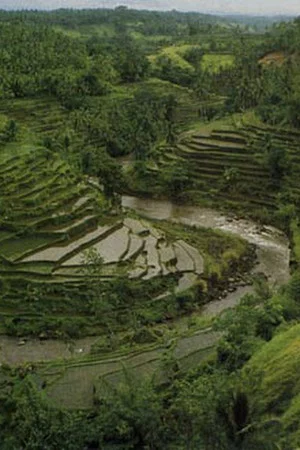 Постер: The Three Worlds of Bali