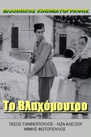 Постер: Agent Kitsos calls Gastounis
