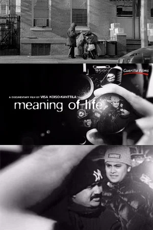 Постер: Meaning of Life