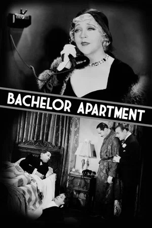 Постер: Bachelor Apartment