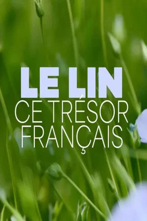 Постер: Le lin, ce trésor français