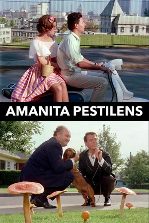 Постер: Amanita Pestilens