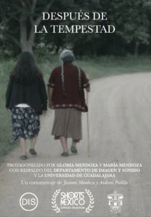 Постер: Después De La Tempestad