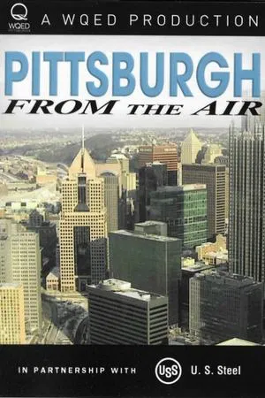 Постер: Pittsburgh From the Air
