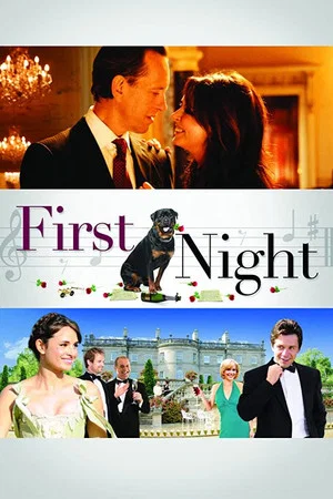 Постер: First Night