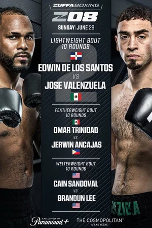Постер: Zuffa Boxing 08